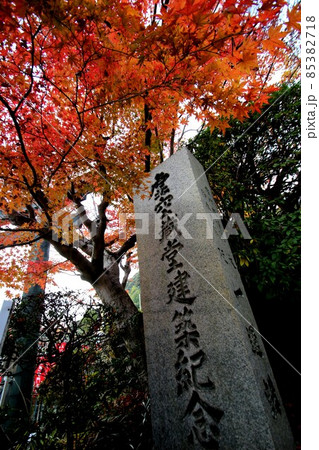 朝護孫子寺 85382718