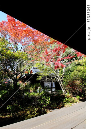 円成寺 円成寺 85383043