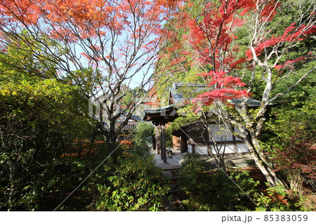 円成寺 円成寺 85383059