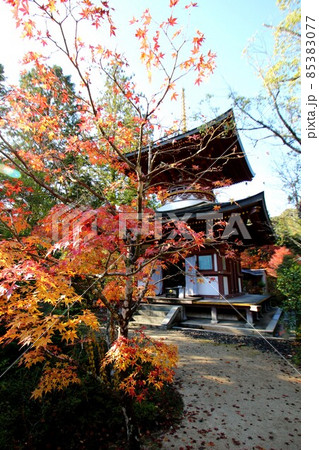 円成寺 円成寺 85383077