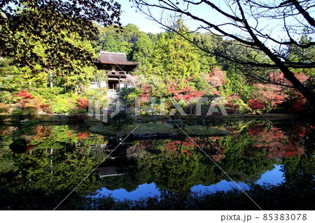 円成寺 円成寺 85383078