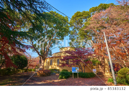 秋の東京都多摩市 桜ヶ丘公園の旧多摩聖蹟記念館(南側)と紅葉 秋の東京都多摩市 桜ヶ丘公園の旧多摩聖蹟記念館(南側)と紅葉 85383132