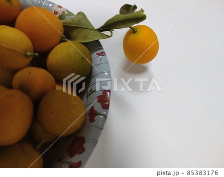 収穫した金柑 収穫した金柑 85383176