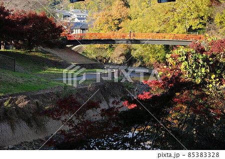 竜田川の紅葉 85383328