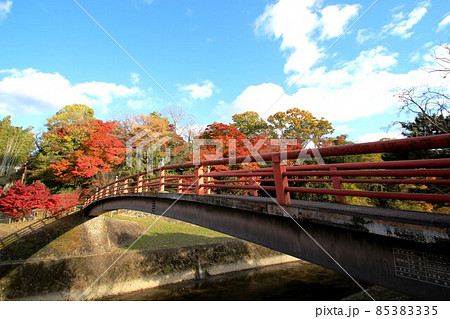 竜田川の紅葉 85383335