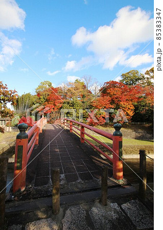 竜田川の紅葉 竜田川の紅葉 85383347