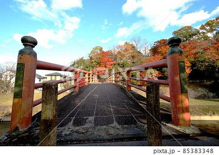 竜田川の紅葉 85383348