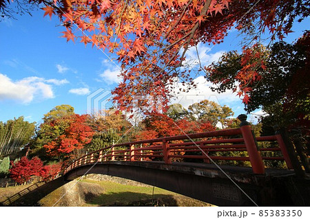 竜田川の紅葉 85383350