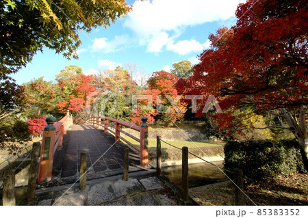 竜田川の紅葉 85383352