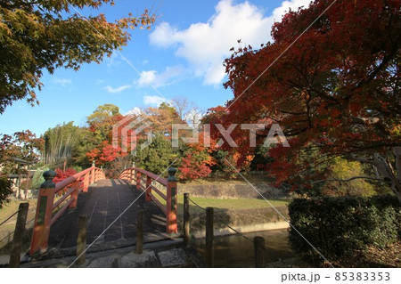 竜田川の紅葉 85383353