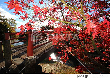 竜田川の紅葉 竜田川の紅葉 85383355