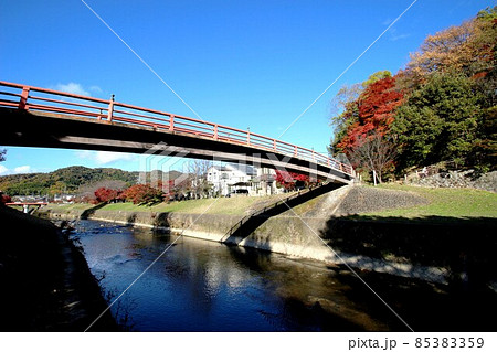 竜田川の紅葉 85383359