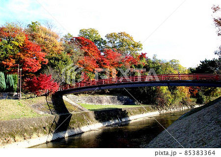 竜田川の紅葉 85383364