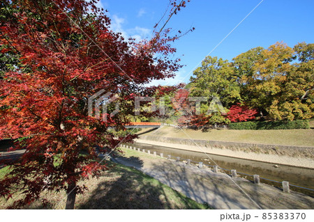 竜田川の紅葉 85383370