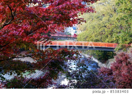 竜田川の紅葉 竜田川の紅葉 85383403