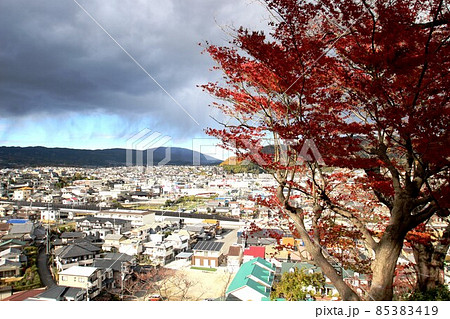 竜田川の紅葉 竜田川の紅葉 85383419