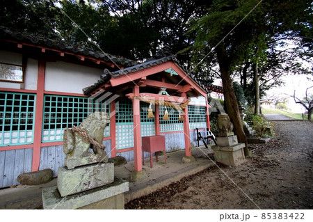 竜田川の紅葉 85383422