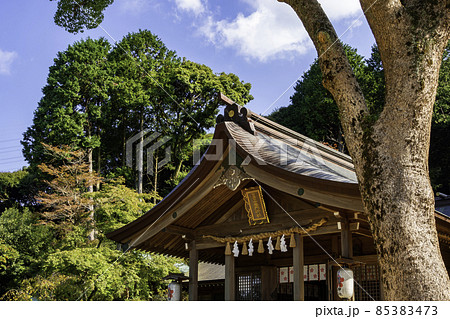 太宰府　竈門神社　拝殿　福岡県太宰府市 85383473