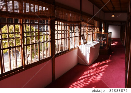 沼津御用邸記念公園 85383872