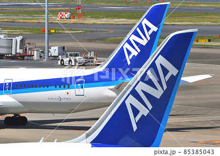 全日空 (ANA) 旅客機の垂直尾翼 85385043