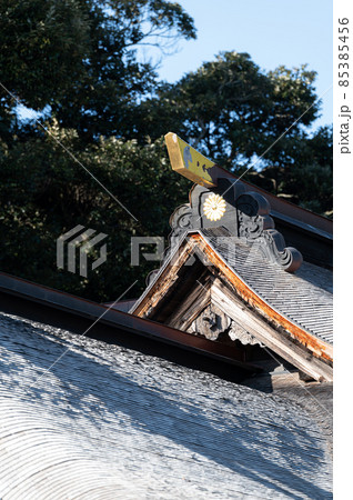 飯野八幡宮 拝殿 飯野八幡宮 拝殿 85385456