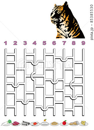寅くんのアミダくじ2 寅くんのアミダくじ2 85385530