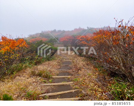 霧に包まれた高山の紅葉の遊歩道 (山形県、蔵王、三宝荒神山) 霧に包まれた高山の紅葉の遊歩道 (山形県、蔵王、三宝荒神山) 85385655