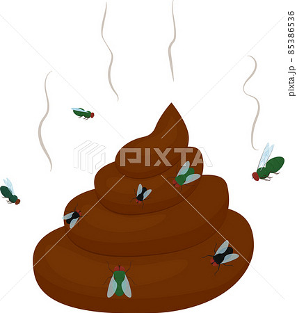 Cartoon stinking poo icon isolated on white Cartoon stinking poo icon isolated on white 85386536