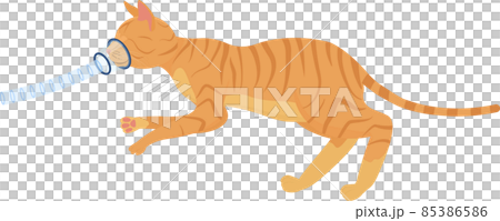 Cat with inhalation anesthesia, lung ventilation Cat with inhalation anesthesia, lung ventilation 85386586