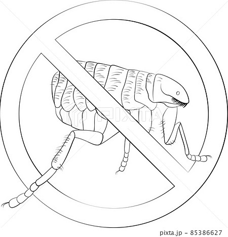 Stop fleas bugs sign black line vector symbol 85386627
