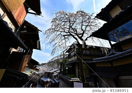 産寧坂の桜 産寧坂の桜 85386951