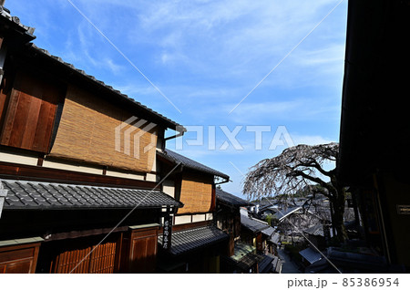 産寧坂の桜 産寧坂の桜 85386954