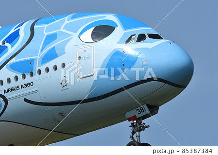 着陸進入中の 全日空 (ANA) の大型旅客機 85387384