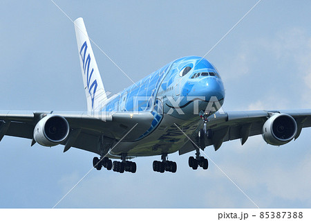 着陸進入中の 全日空 (ANA) の大型旅客機の写真素材 [85387388