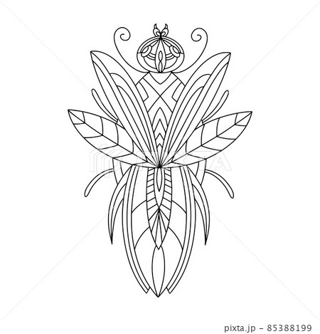 Beetle-insect coloring book. linear illustration Beetle-insect coloring book. linear illustration 85388199