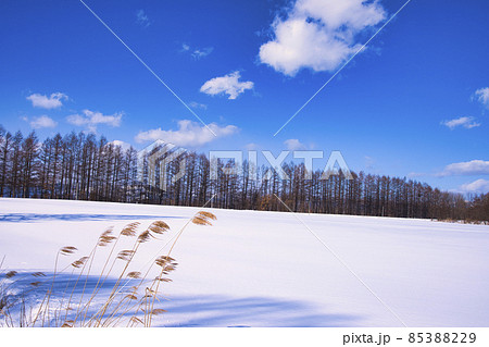 美しい雪景色