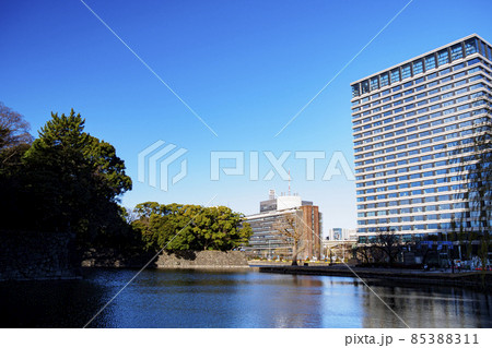 皇居の冬 皇居の冬 85388311