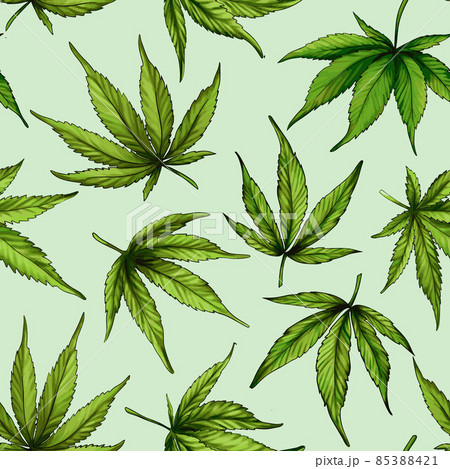 Marijuana seamless pattern. Green hemp leaves 85388421