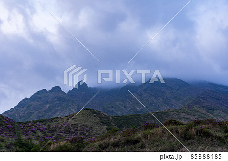 長部田海床路 夜 長部田海床路 夜 85388485