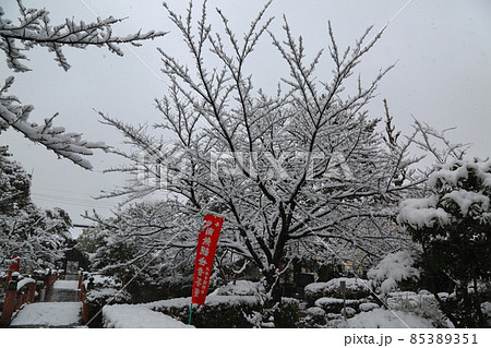 弘法大師の寺:冬の円鏡寺・7(岐阜県本巣郡北方町) 弘法大師の寺:冬の円鏡寺・7(岐阜県本巣郡北方町) 85389351