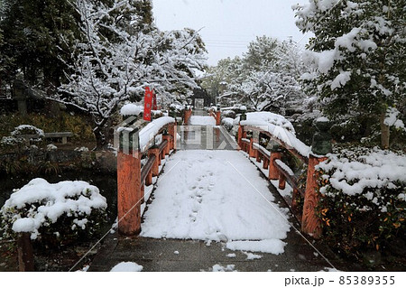 弘法大師の寺：冬の円鏡寺・11（岐阜県本巣郡北方町） 85389355