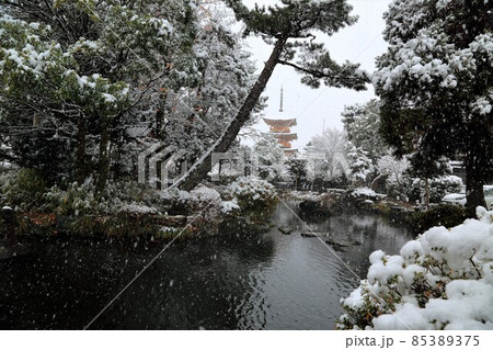 弘法大師の寺：冬の円鏡寺・29（岐阜県本巣郡北方町） 85389375