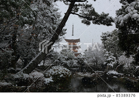 弘法大師の寺：冬の円鏡寺・30（岐阜県本巣郡北方町） 85389376