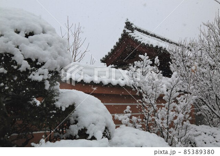 弘法大師の寺：冬の円鏡寺・33（岐阜県本巣郡北方町） 85389380