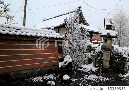 弘法大師の寺：冬の円鏡寺・38（岐阜県本巣郡北方町） 85389385