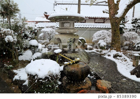 弘法大師の寺:冬の円鏡寺・42(岐阜県本巣郡北方町) 弘法大師の寺:冬の円鏡寺・42(岐阜県本巣郡北方町) 85389390
