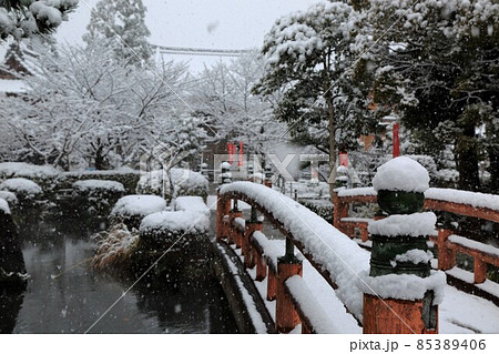 弘法大師の寺：冬の円鏡寺・56（岐阜県本巣郡北方町） 85389406