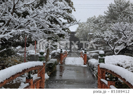 弘法大師の寺:冬の円鏡寺・62(岐阜県本巣郡北方町) 弘法大師の寺:冬の円鏡寺・62(岐阜県本巣郡北方町) 85389412