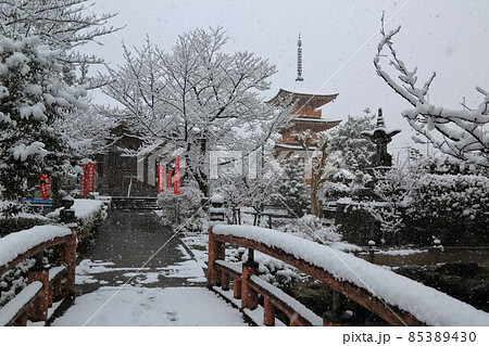 弘法大師の寺:冬の円鏡寺・78(岐阜県本巣郡北方町) 弘法大師の寺:冬の円鏡寺・78(岐阜県本巣郡北方町) 85389430