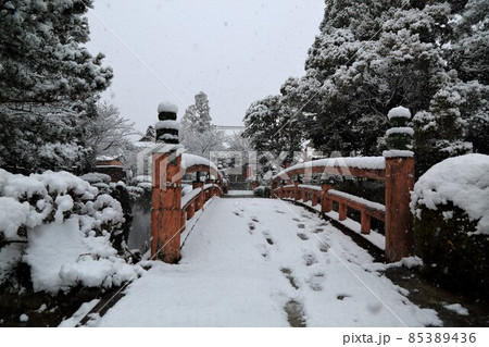 弘法大師の寺：冬の円鏡寺・83（岐阜県本巣郡北方町） 85389436